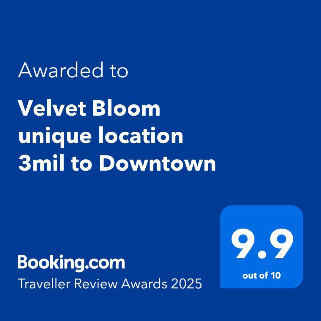 Velvet Bloom Unique Location 3Mil To Downtown Villa Naples Exterior photo